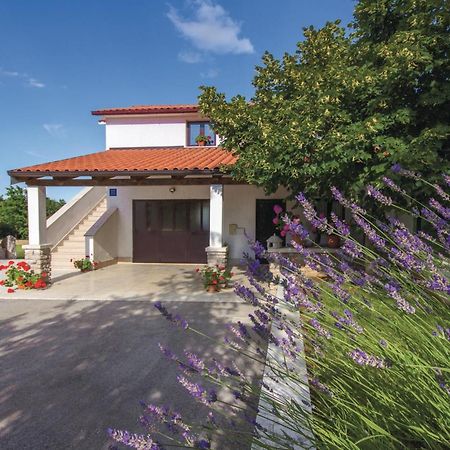 Amazing Apartment In Pazin With Wifi Katun Lindarski Luaran gambar